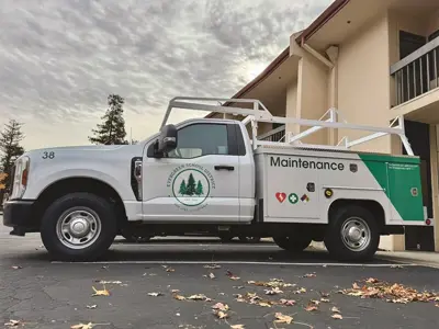 vehicle graphics Photo